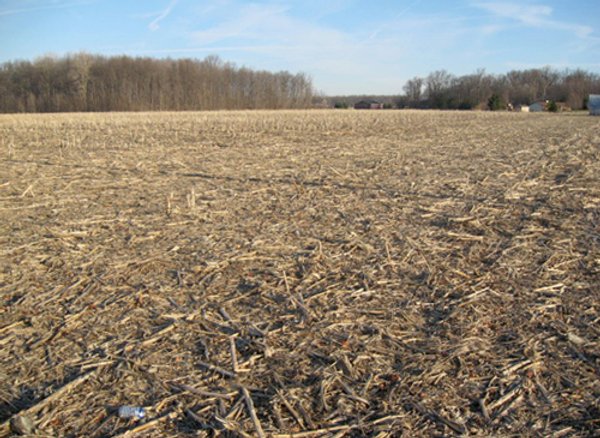 44 Acres Offered in 3 Tracts